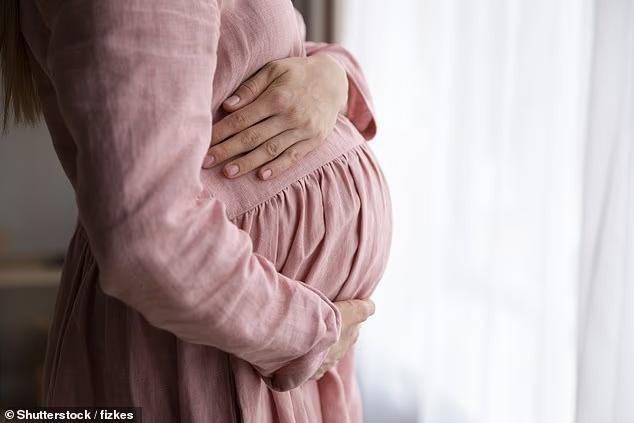 IVF Success Rates Soar in Summer?