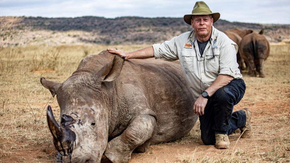 Rhinos Get Radioactive Superpowers?!