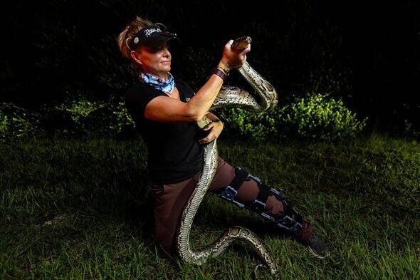 Florida’s wild python problem gets a robot twist