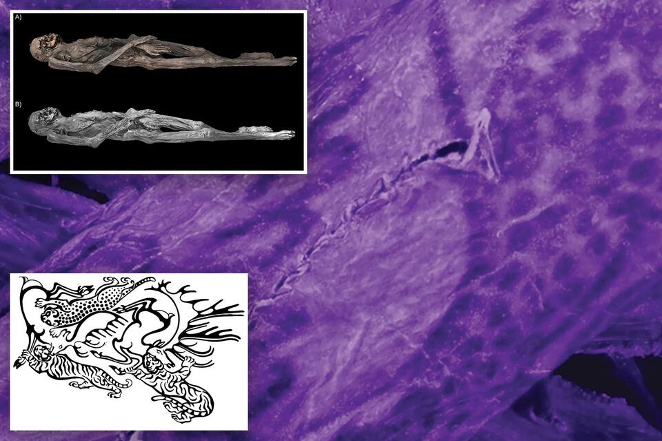 Ancient Ink Drama: Who Was the Ice Mummy? 🐆