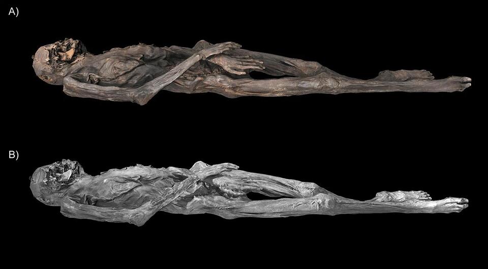 Ancient Ink Drama: Who Was the Ice Mummy? 🐆