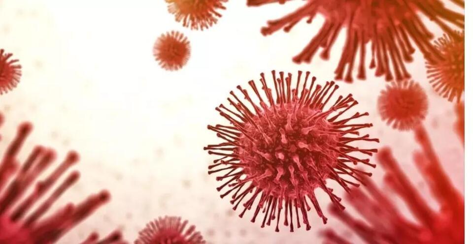 Rare disease alert: Tularemia found in Upstate NY