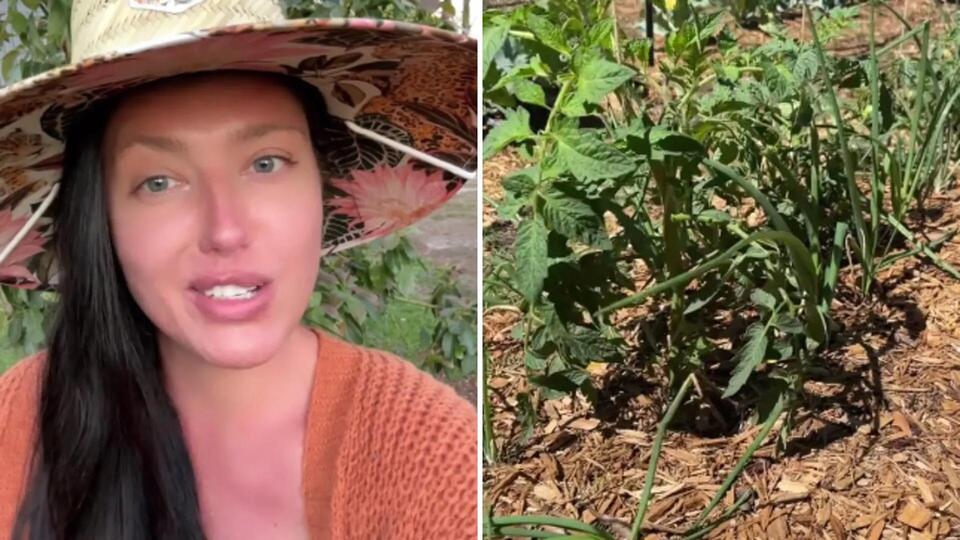 Ancient Planting Hack Makes Gardening Easy