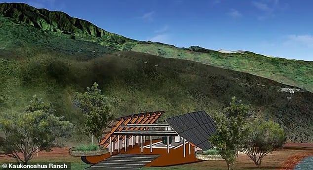 Oahu fights to keep Mt. Ka'ala untouched