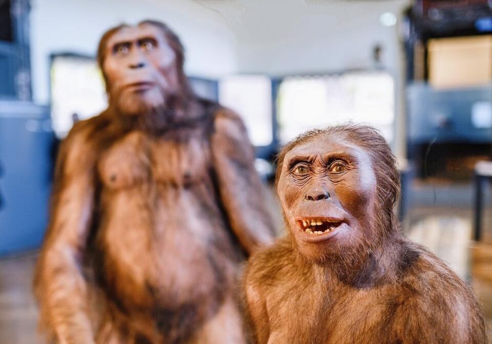 Prehistoric Power Couples Had Major Size Drama