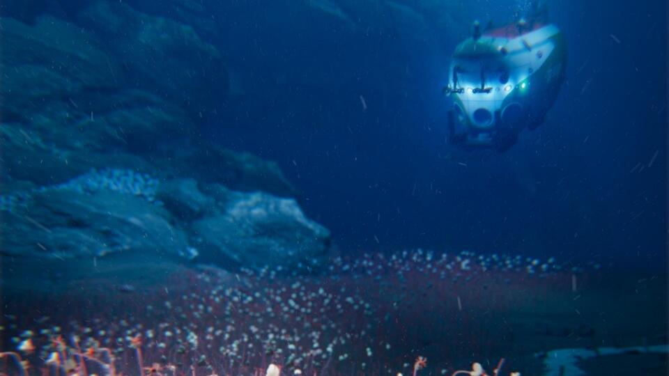 Deepest Ocean Creatures Ever Filmed!