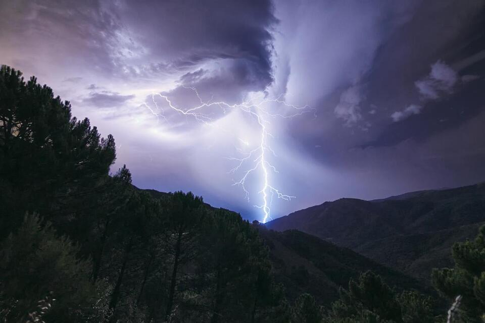 Storms Are Secretly Wrecking Rainforests