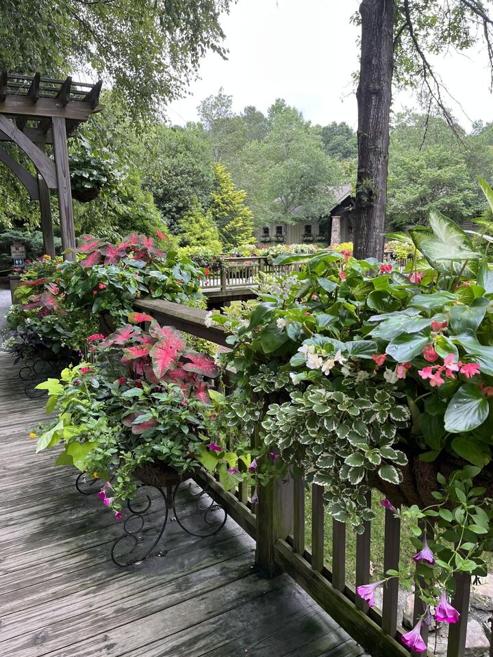 Why August is pure magic at Gibbs Gardens