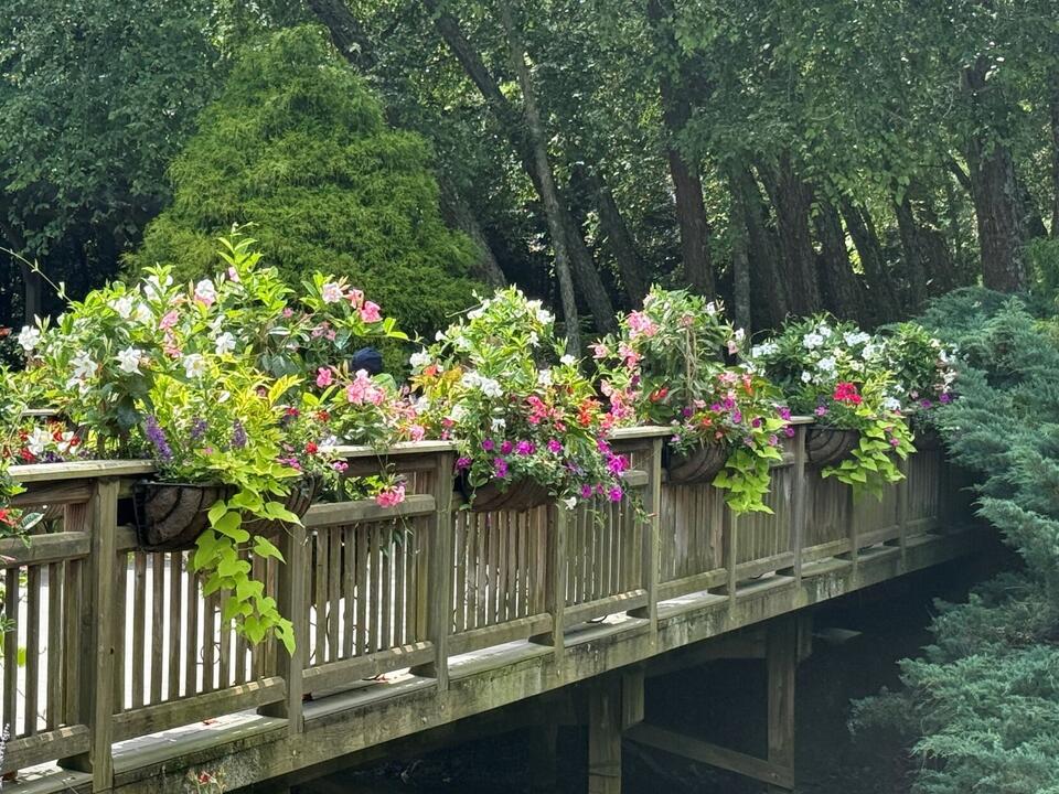 Why August is pure magic at Gibbs Gardens