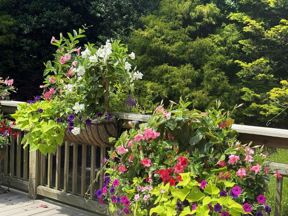 Why August is pure magic at Gibbs Gardens