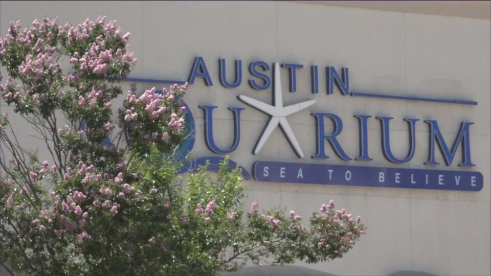Austin Aquarium faces new safety concerns