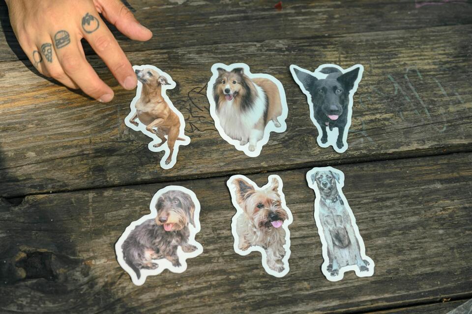 Greenpoint’s dog stickers are spreading smiles