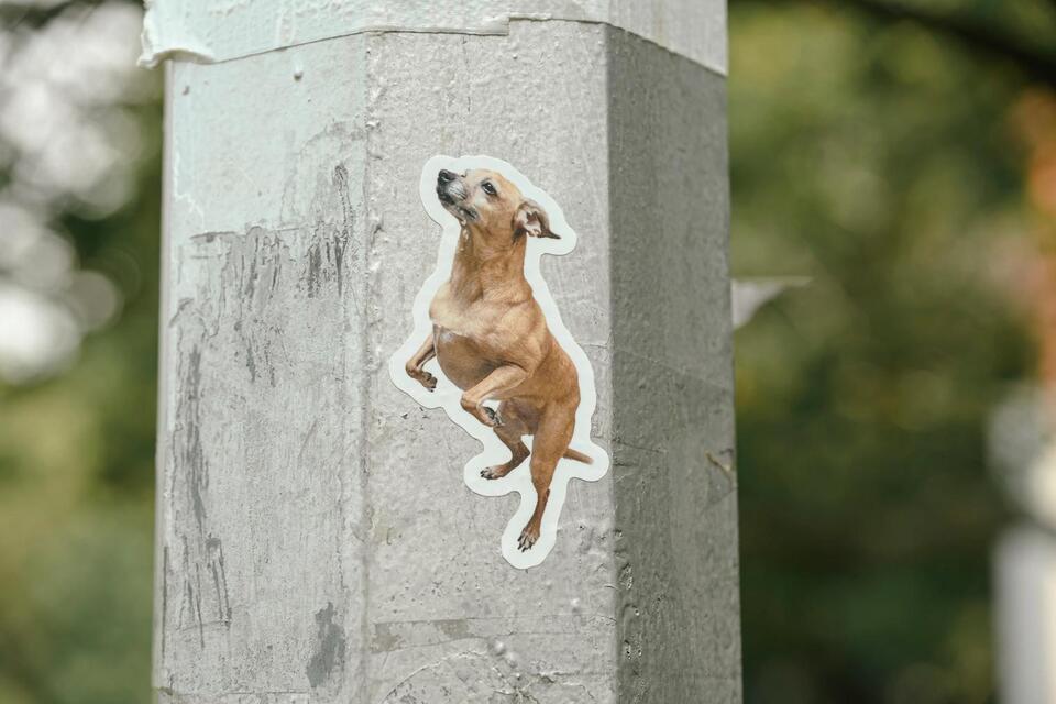 Greenpoint’s dog stickers are spreading smiles