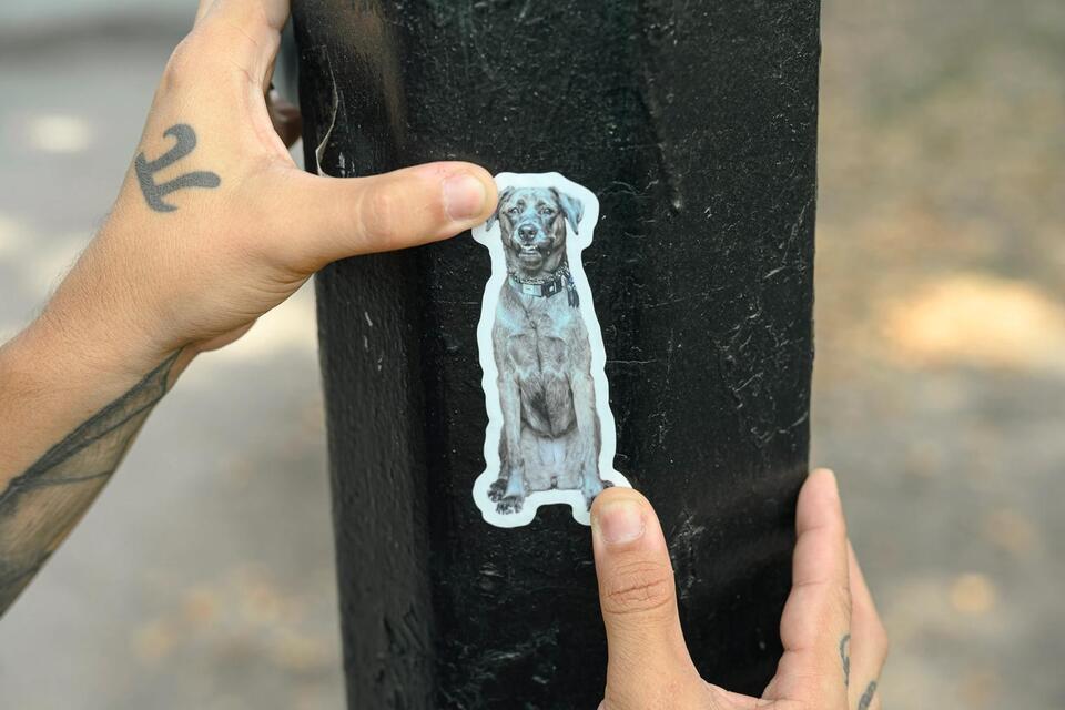 Greenpoint’s dog stickers are spreading smiles
