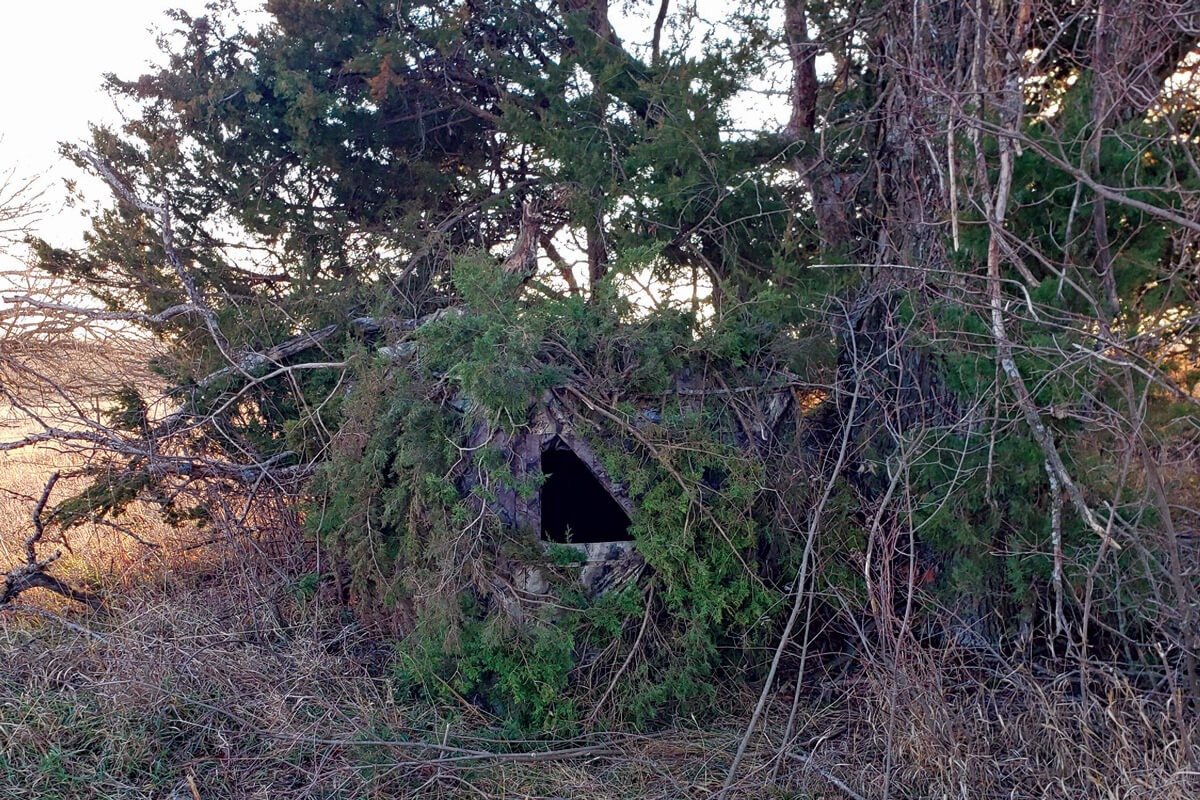 Ground Blinds are the Most Overlooked Tool I Own