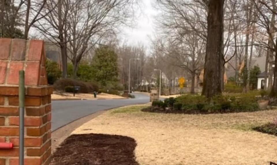 Garden Glow-Up: You Have to See This!