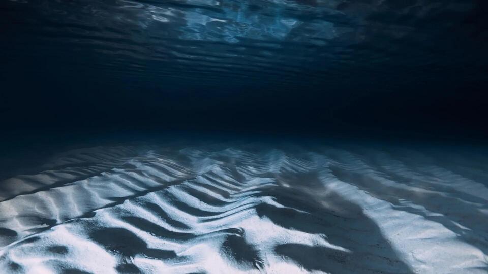 Deep-Sea Snail Discovery Is Wild