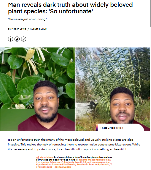 Southern gardens' hidden threat: Beautiful invaders