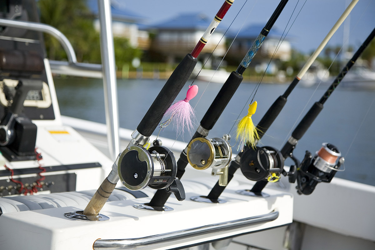 Picking the best rod for your target fish
