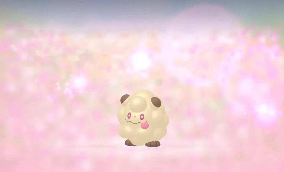 Shiny Swirlix vs Combee: Which Hunt Wins?