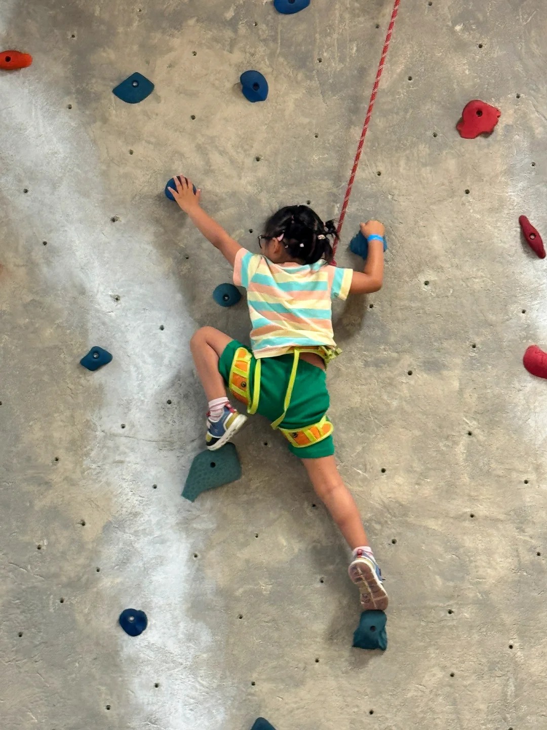 My sister tried climbing at the Oakville community center and got totally hooked!