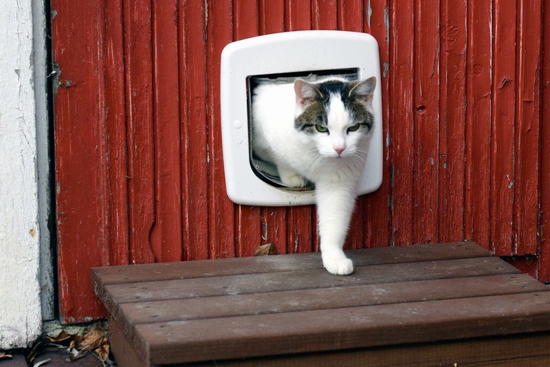 Want a garage cat door but worried about fire safety and pests...