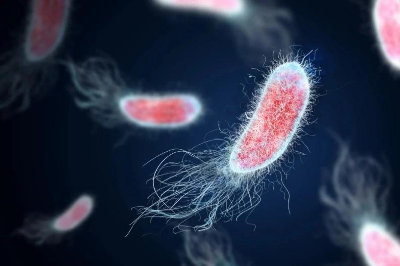 Rare animal disease detected in Upstate NY