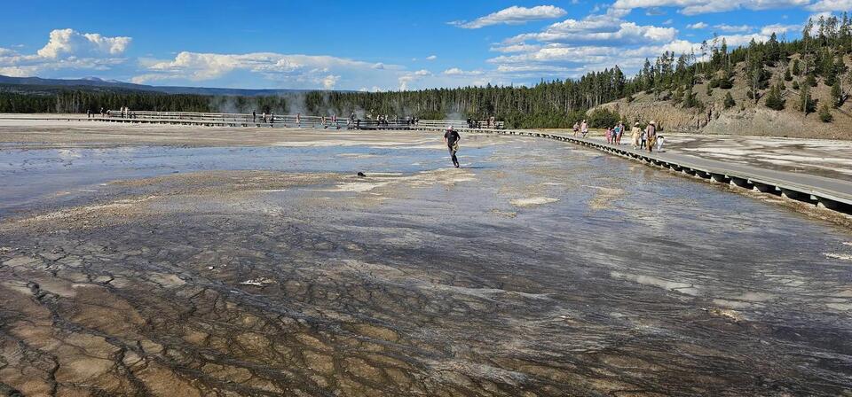 Yellowstone visitor sparks outrage with risky stunt