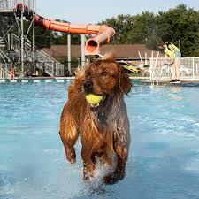 Bloomington pools: Summer’s not over yet!