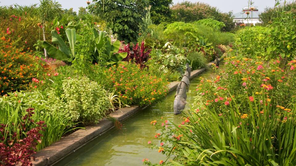 Charlotte neighbor’s garden secrets revealed