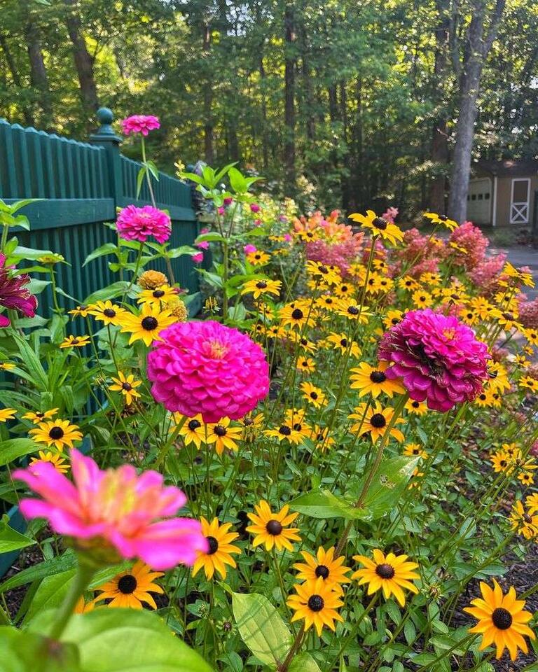 Charlotte neighbor’s garden secrets revealed
