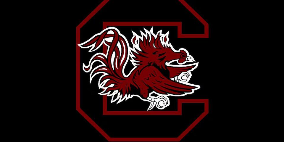 Big changes for Gamecock Athletics this fall