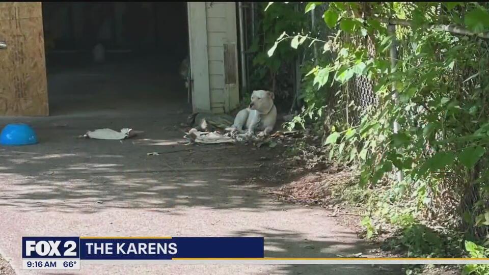 Detroit’s dog heroes: The Karens in action