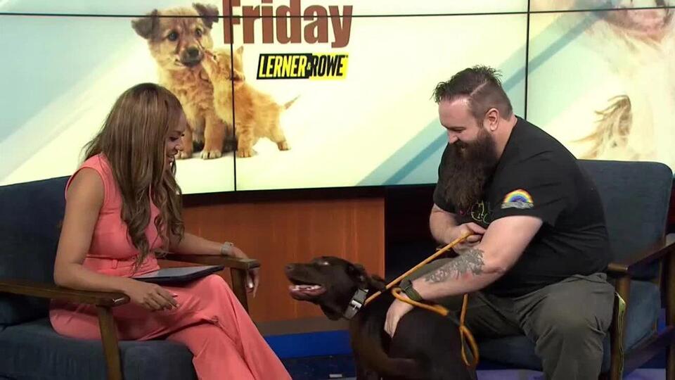 Meet your new best friend at Nevada SPCA