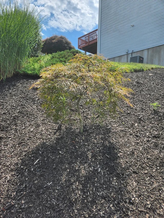 Landscaper hit me with a $12k invoice I can't pay 😵