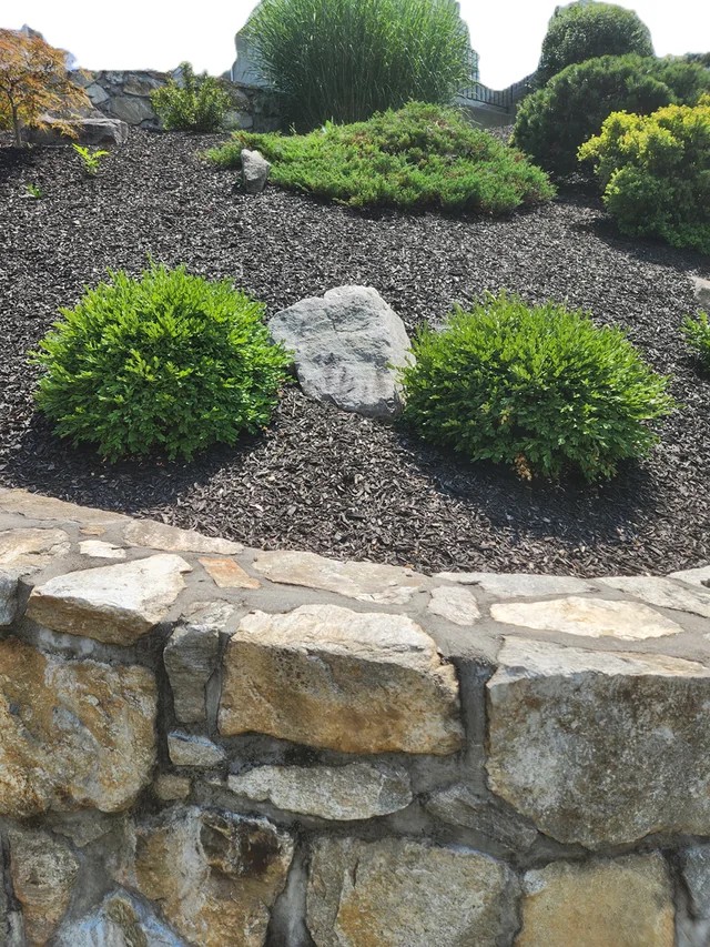 Landscaper hit me with a $12k invoice I can't pay 😵