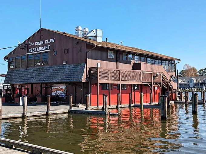 Maryland’s best seafood: No frills, all flavor