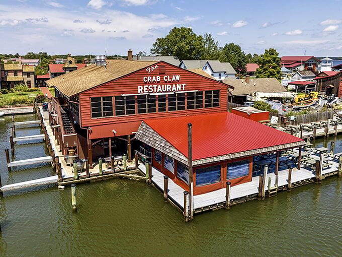 Maryland’s best seafood: No frills, all flavor