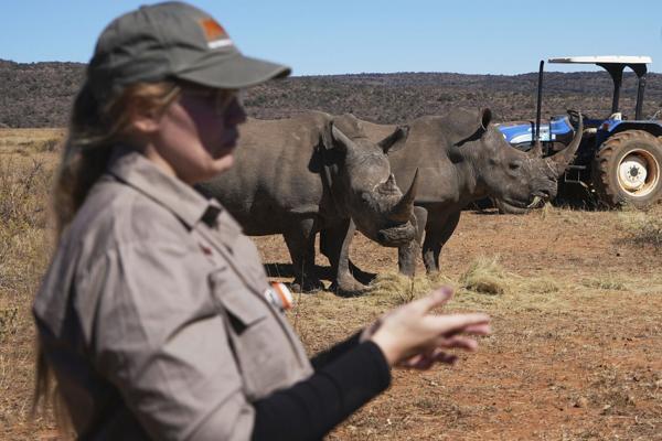 Radioactive Rhino Horns?!
