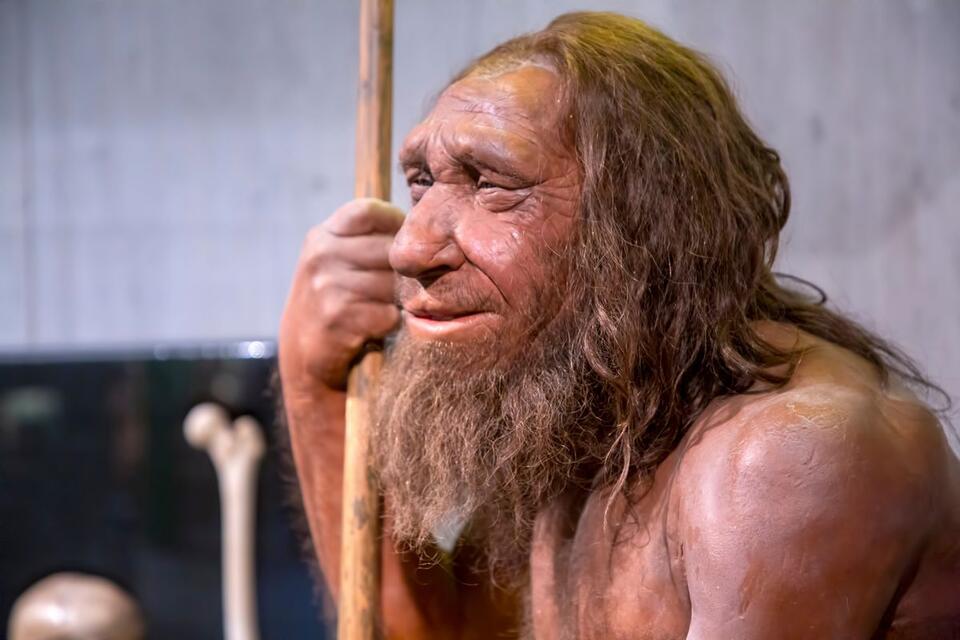 Ancient Humans & Neanderthals: Hot Spots Revealed