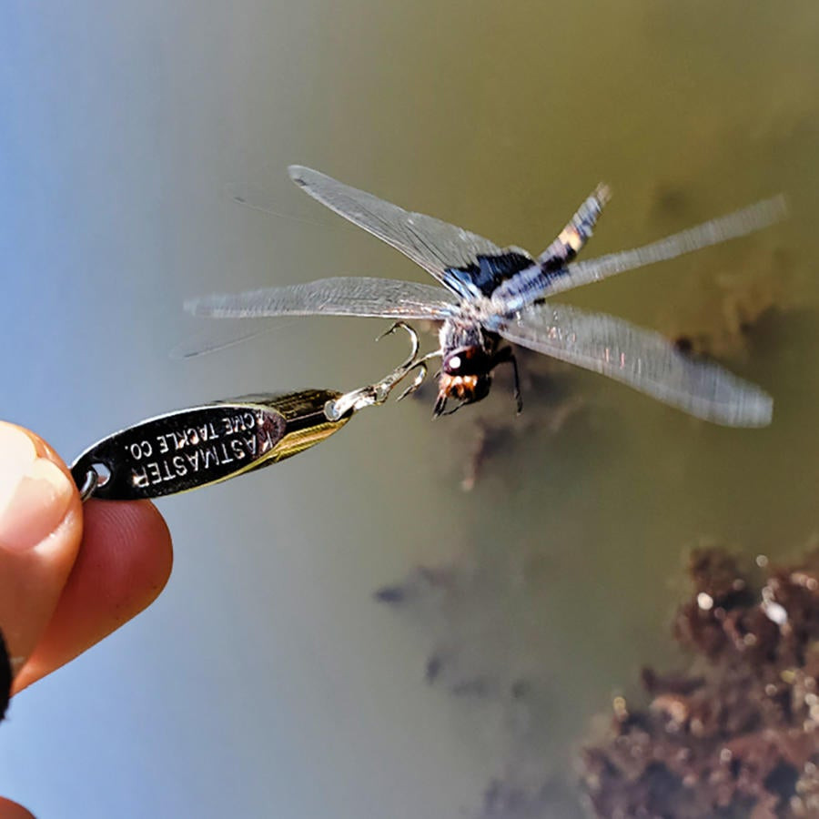 Anglers can catch everything except fish 😂