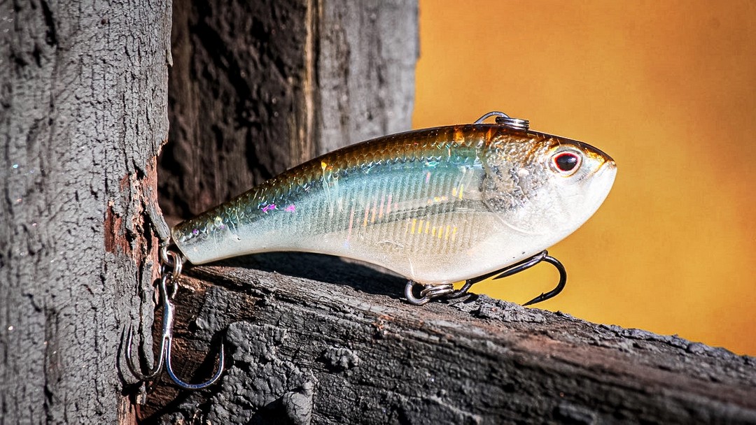 lipless crankbait secrets that catch more bass