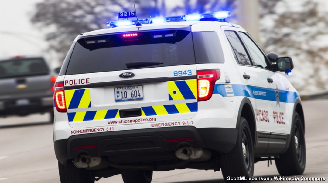 Police Magnets 🧲❓What Cars (or Drivers) Get Pulled Over the Most?