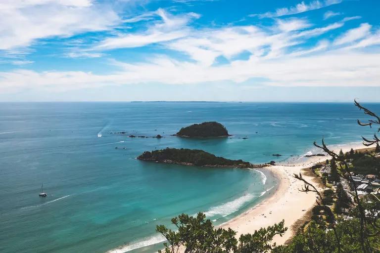 Why Big Ships Are Banned Near Tauranga Now