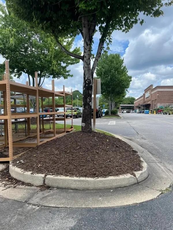 Mulch Volcanoes Are Killing Trees?!