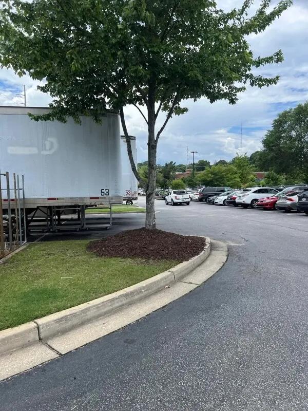 Mulch Volcanoes Are Killing Trees?!
