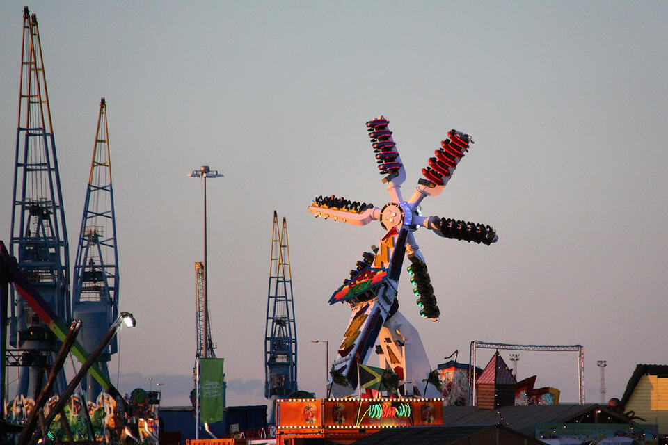Theme Park Rides Gone Wild
