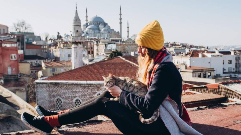 Travel Nightmare: Tour Company Collapses