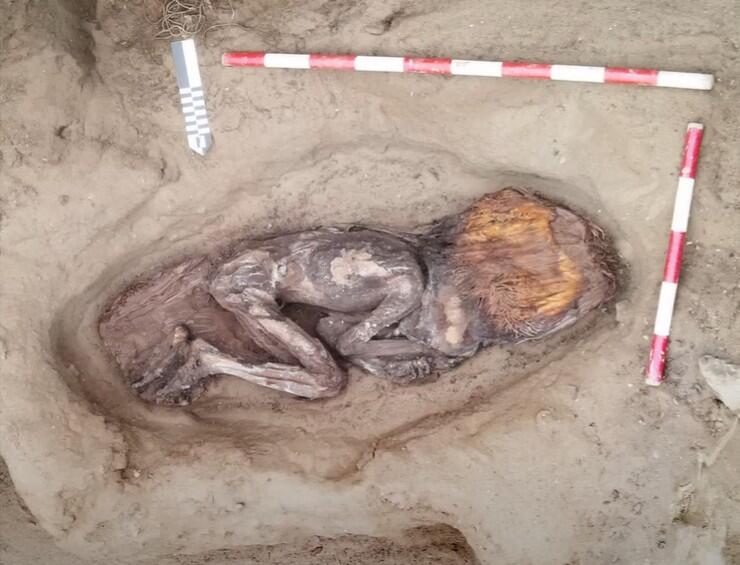 5,000-Year-Old Parrot Feather Cape Found!