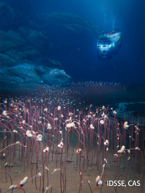 Deepest Ocean Creatures Discovered!